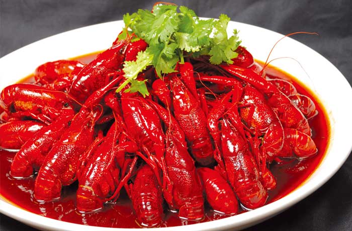武侯麻辣小龙虾培训